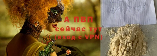 сатива Белокуриха