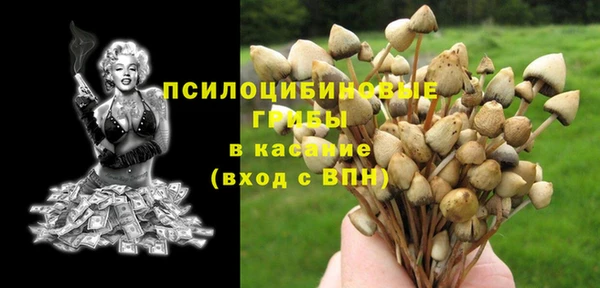 сатива Белокуриха